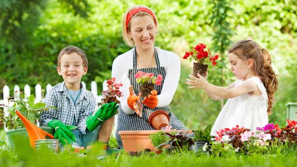 family-gardening-178381957-small