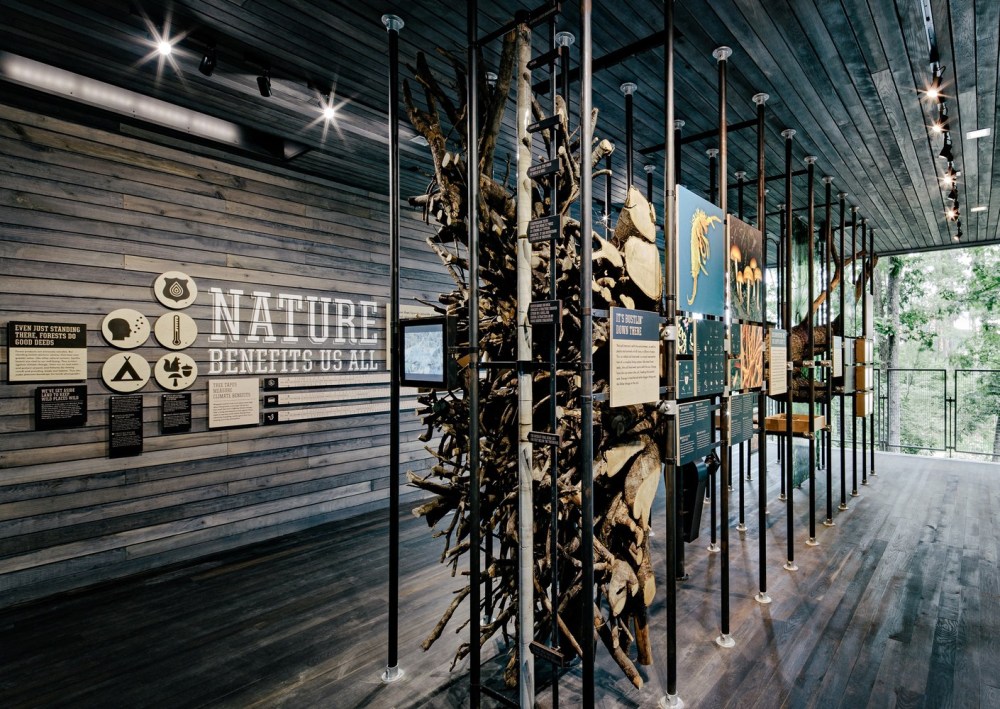 Mithun_Sustainability_Treehouse_48